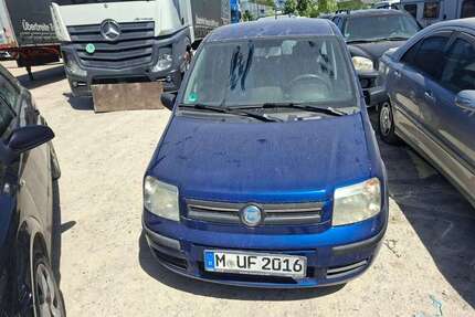 Fiat Panda Gebrauchtwagen