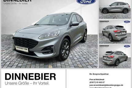 Ford Kuga Gebrauchtwagen
