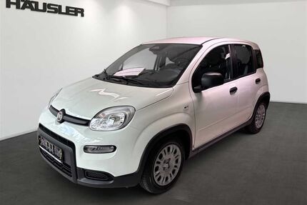 Fiat Panda Gebrauchtwagen