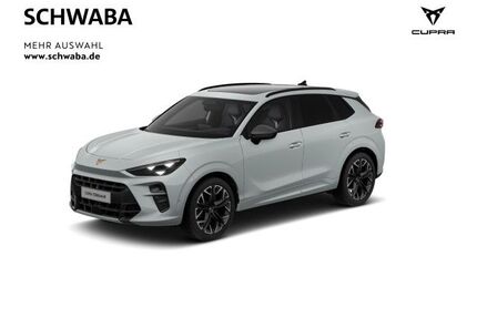 Cupra Terramar Gebrauchtwagen