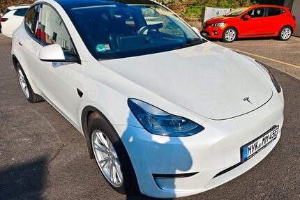 VW Model Y 