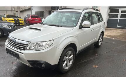 Subaru Forester Gebrauchtwagen