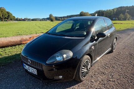 Fiat Punto Gebrauchtwagen