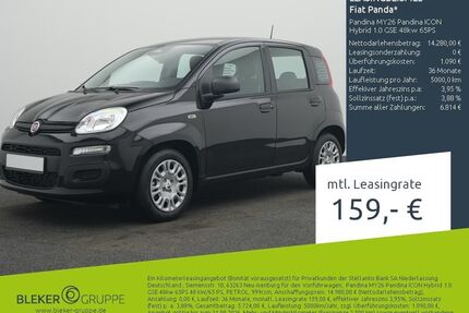 Fiat Panda Gebrauchtwagen