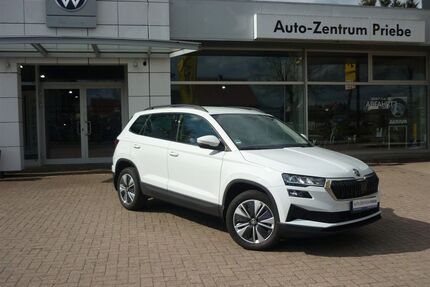 Skoda Karoq Gebrauchtwagen