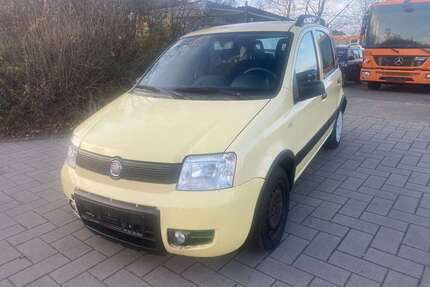 Fiat Panda Gebrauchtwagen