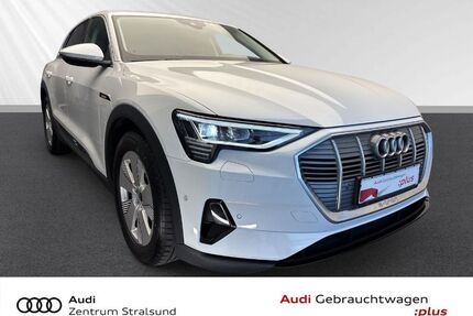 Audi e-tron Gebrauchtwagen