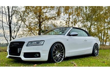 Audi S5 Gebrauchtwagen