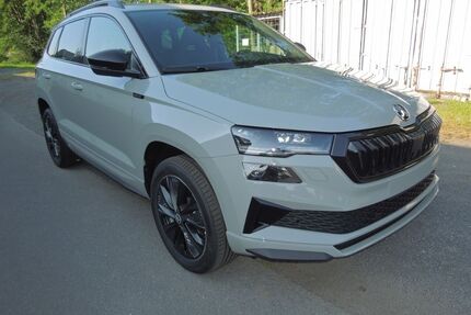 Skoda Karoq Gebrauchtwagen