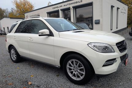 Mercedes-Benz ML 250 Gebrauchtwagen