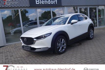 Mazda CX-30 Gebrauchtwagen