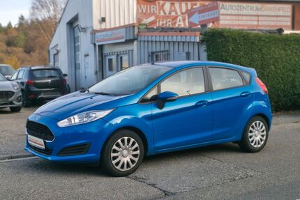 Ford Fiesta Gebrauchtwagen