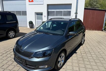 Skoda Fabia Gebrauchtwagen