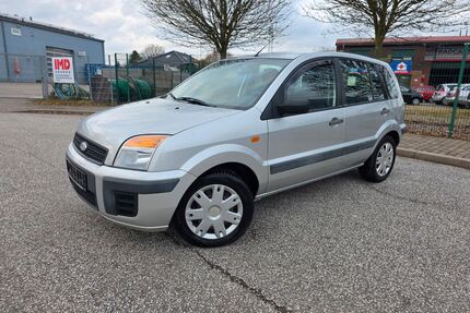 Ford Fusion Gebrauchtwagen