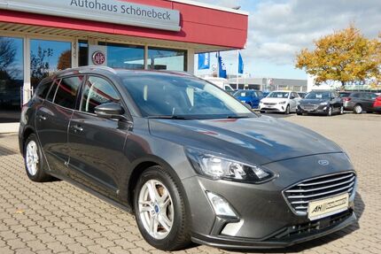 Ford Focus Gebrauchtwagen