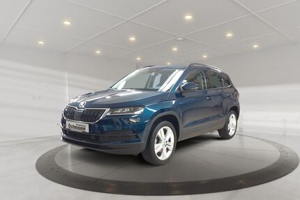 Skoda Karoq Gebrauchtwagen