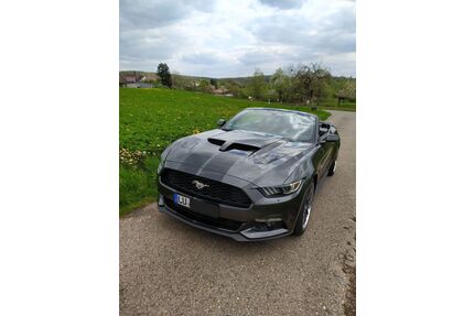 Ford Mustang Gebrauchtwagen