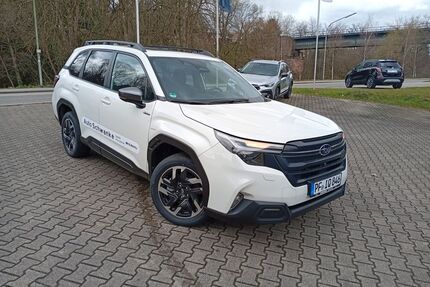 Subaru Forester Gebrauchtwagen