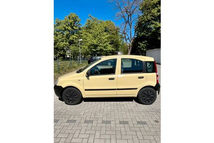 Fiat Panda Gebrauchtwagen