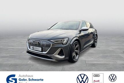 Audi e-tron Gebrauchtwagen