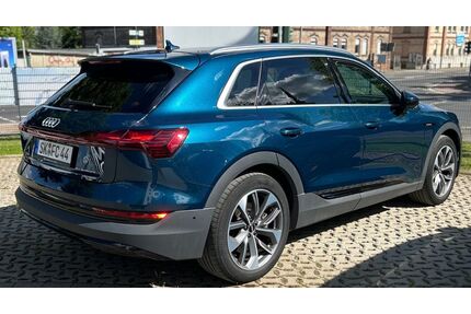 Audi Q8 e-tron Gebrauchtwagen