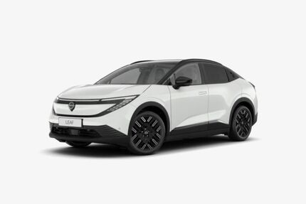 Nissan Leaf Gebrauchtwagen