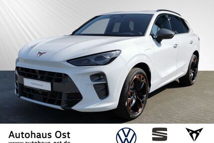 Cupra Terramar Gebrauchtwagen