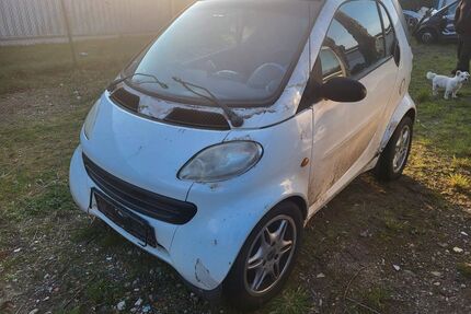 Smart ForTwo Gebrauchtwagen
