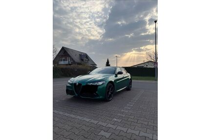 Alfa Romeo Giulia Gebrauchtwagen