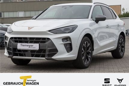 Cupra Terramar Gebrauchtwagen