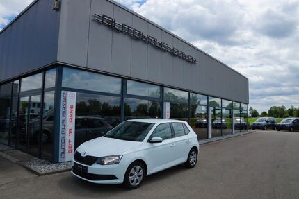 Skoda Fabia Gebrauchtwagen