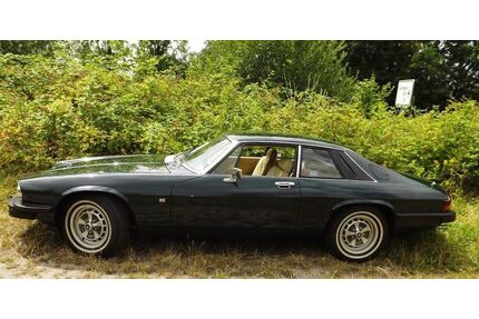 Jaguar XJS Gebrauchtwagen