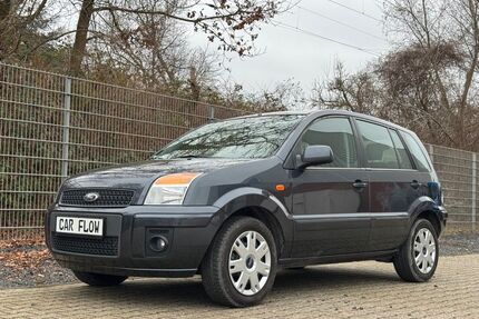 Ford Fusion Gebrauchtwagen