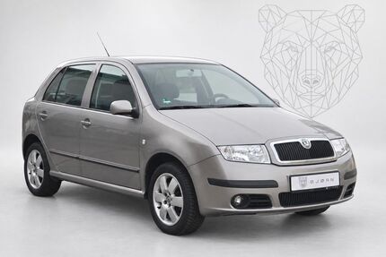Skoda Fabia Gebrauchtwagen
