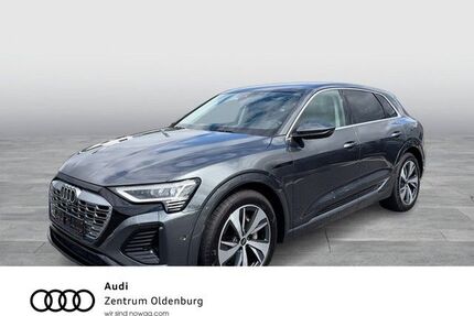 Audi Q8 e-tron Gebrauchtwagen