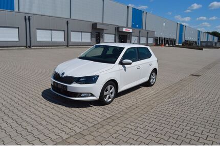Skoda Fabia Gebrauchtwagen