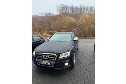 Audi SQ5 Gebrauchtwagen