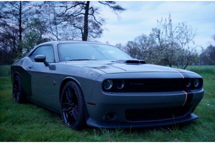 Dodge Challenger Gebrauchtwagen