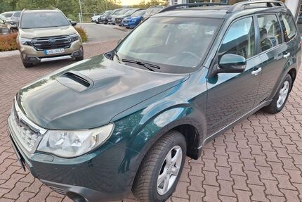 Subaru Forester Gebrauchtwagen
