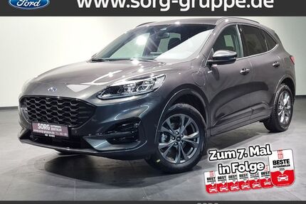 Ford Kuga Gebrauchtwagen