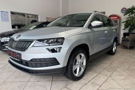 Skoda Karoq Gebrauchtwagen