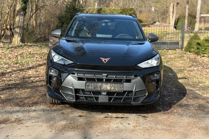 Cupra Terramar Gebrauchtwagen