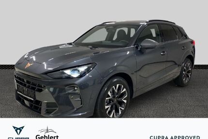 Cupra Terramar Gebrauchtwagen