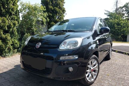 Fiat New Panda Gebrauchtwagen