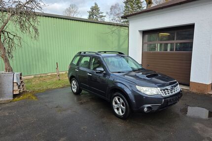 Subaru Forester Gebrauchtwagen