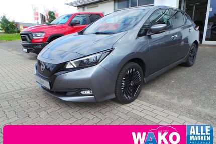 Nissan Leaf Gebrauchtwagen