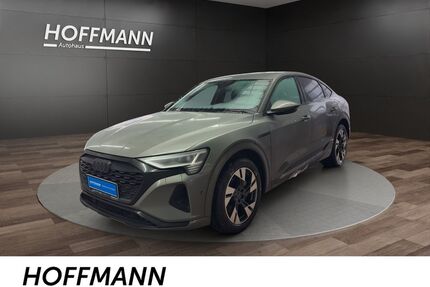 Audi Q8 e-tron Gebrauchtwagen
