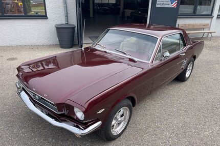 Ford Mustang Gebrauchtwagen