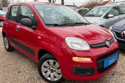 Fiat Panda Gebrauchtwagen