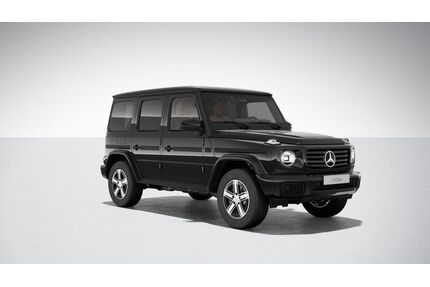 Mercedes-Benz G 450 Gebrauchtwagen